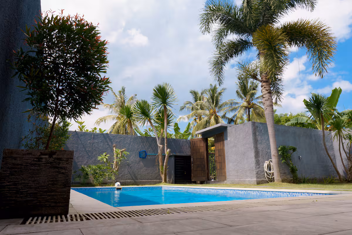 Outdoor swimming pool and palm trees